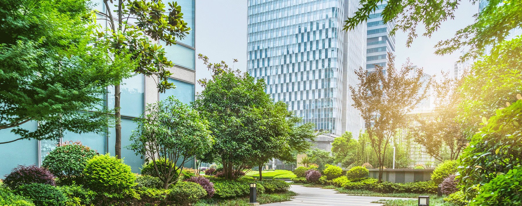 Landscaping Industry Success Partner American Landscaping Partners